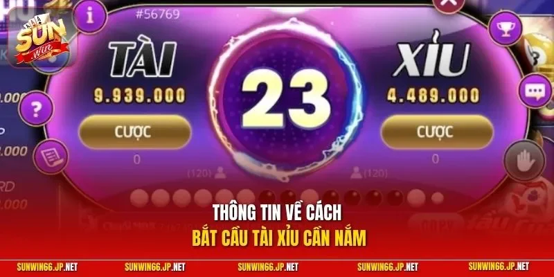 Thông tin về cách bắt cầu tài xỉu cần nắm